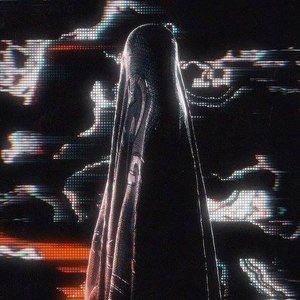 Meet your Posher, Jake